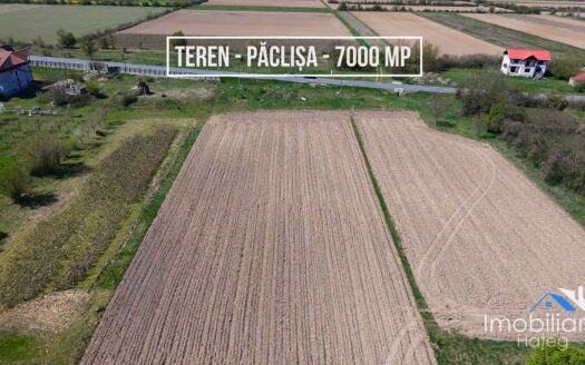 Teren intravilan – Paclisa | ~6.870 mp | Deschidere la drum national