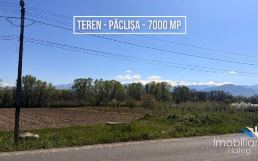 Teren intravilan – Paclisa | ~6.870 mp | Deschidere la drum national