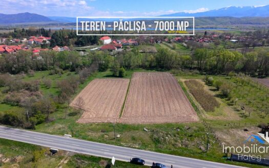 Teren intravilan – Paclisa | ~6.870 mp | Deschidere la drum national