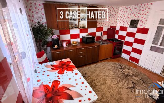 Proprietate tip triplex – 8 Camere – Hateg | Str. Râul Galbena | Complet mobilată și utilată