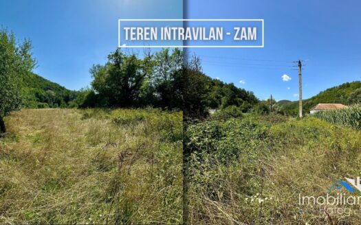 Teren intravilan – Zam | 2.896 mp | Zona linistita, ideala pentru constructie
